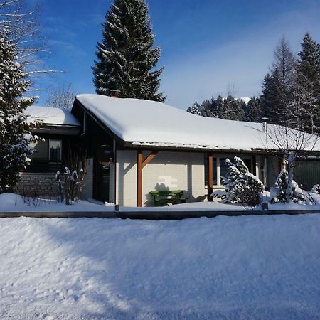 Haus Sonnenalm Villa Bad Mitterndorf Ngoại thất bức ảnh